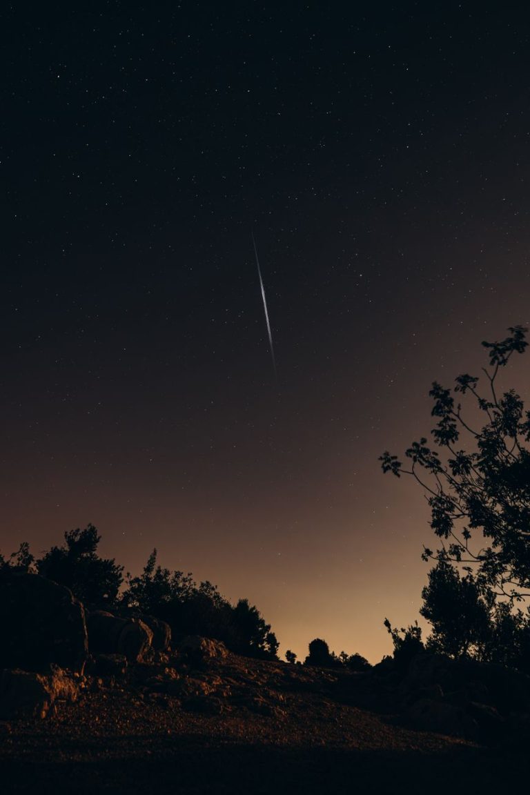 Regarder les étoiles filantes fait partie des animations d'astronomie